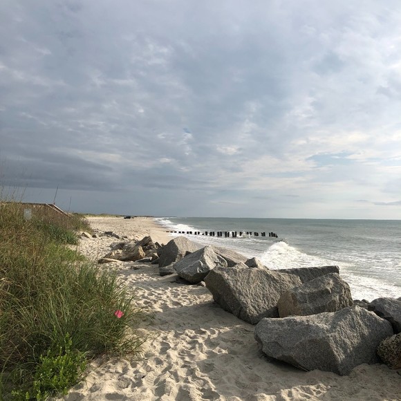 Meet your Posher, Jacqueline - Picture 1 of 1